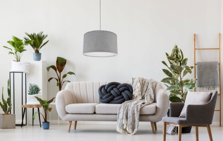 ABAŻUR gołębi SAVIO - walec 15