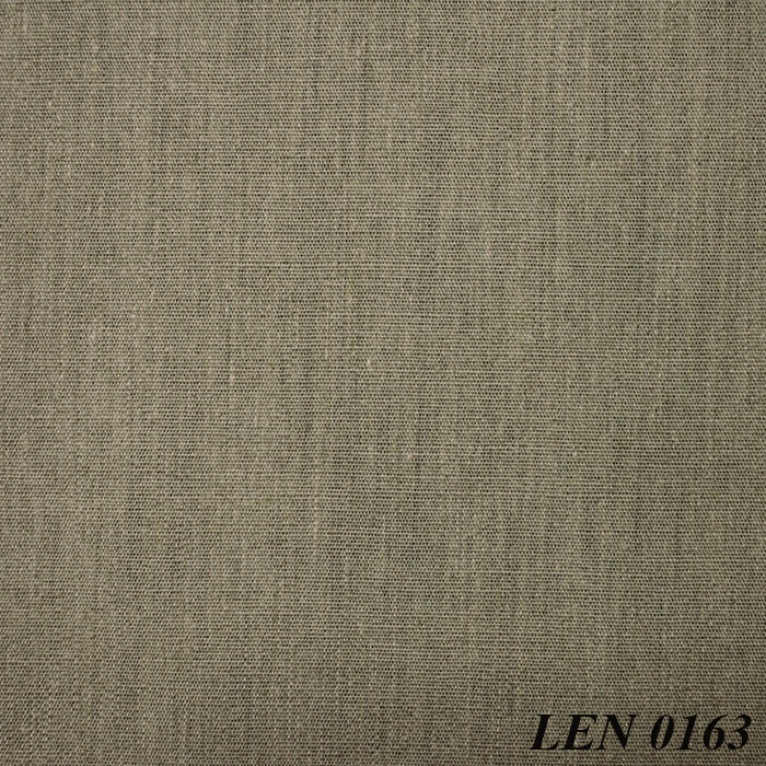 LEN 0163