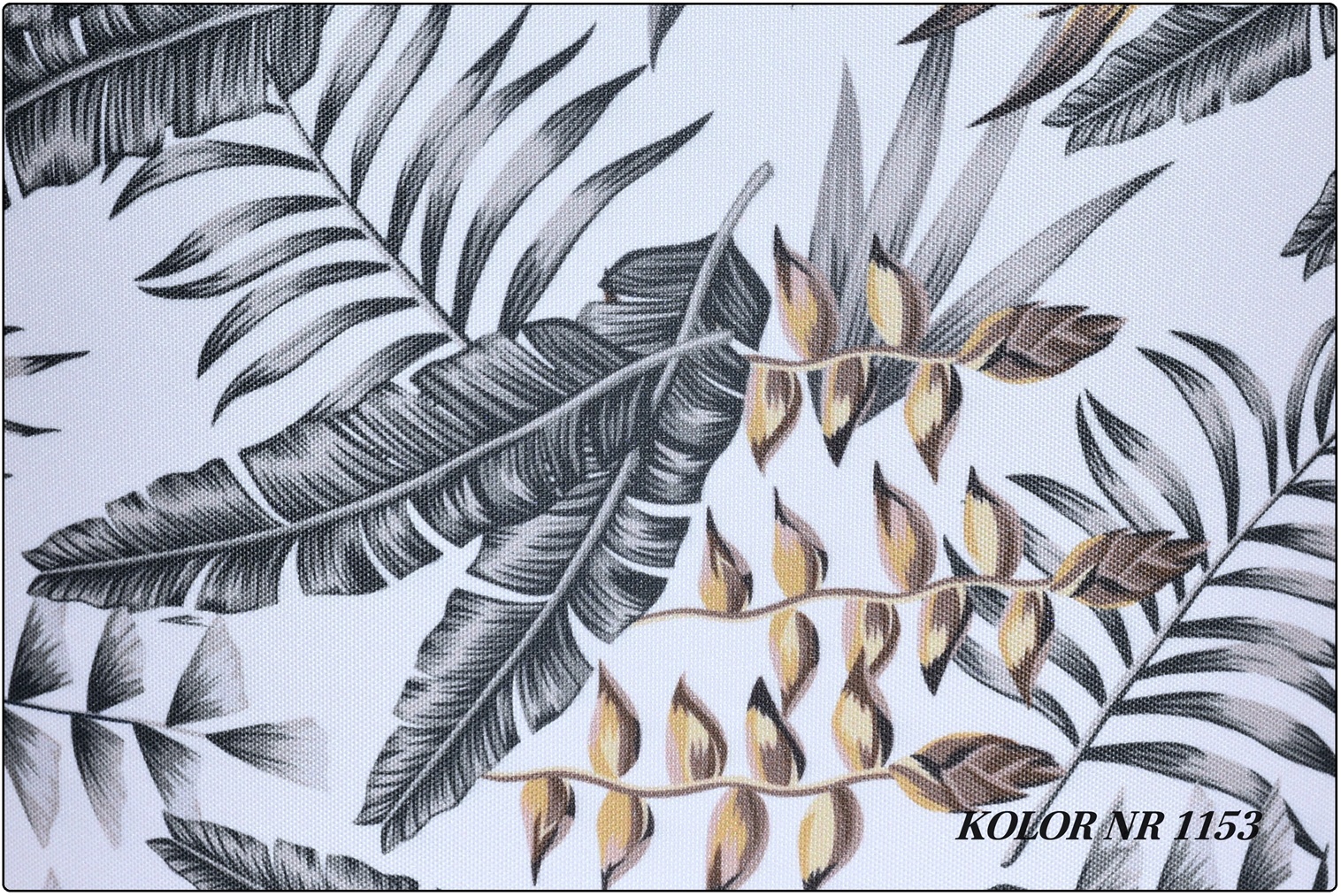 LISCIE EGZOTYCZNE "PRIMAVERA"